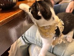 -原田新料理(1912店)