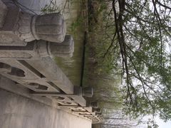 iphone_upload_pic-溱湖国家湿地公园