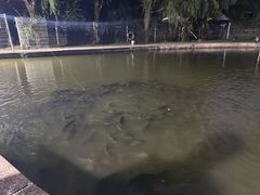 -酷鱼垂钓CLUB(朝阳区博大路店 )