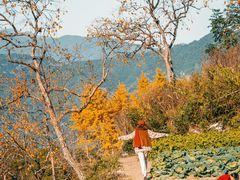 -楠溪江风景名胜区