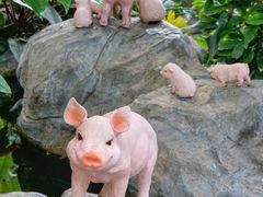 -北京植物园-展览温室