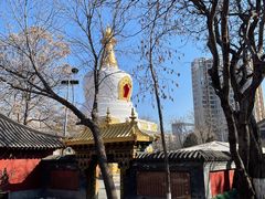 -护国法轮寺