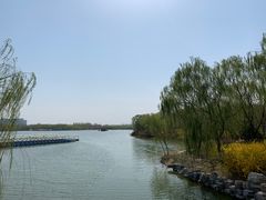 -大兴滨河森林公园