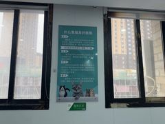 -天使宠物医院·犬猫分诊(彩虹店)