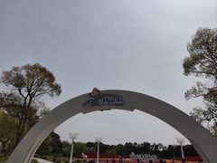 -上海鲜花港