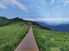 -白草畔自然风景区