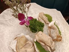 大连海岛生蚝-纯味斑鱼府(中海环宇荟店)