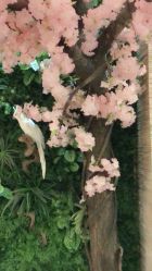 -逸丝风尚