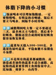 -Fundi张玉珊修身堂·indiba·BTL科技瘦身