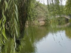 -雨湖公园
