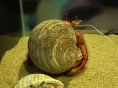 -欢乐海岸海洋奇梦馆