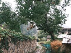 -楠溪江风景名胜区