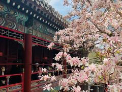 -潭柘寺景区