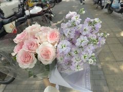-花鸟鱼虫鲜花绿植市场(玉泉路店)