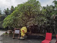 -厦门日月谷温泉渡假村