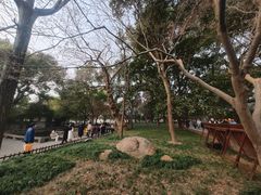 -西园戒幢律寺