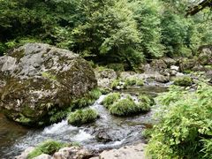 -龙苍沟森林公园