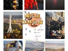 -帽儿山国家森林公园