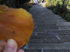 -大罗山风景区