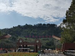 -东南花都花博园