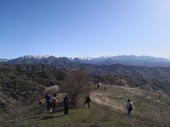 -中华福寿山