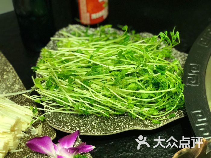 豌豆苗