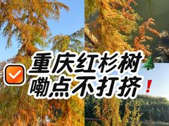 -重庆彩云湖湿地公园