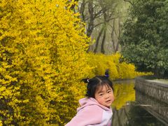 -洛阳市隋唐城遗址植物园