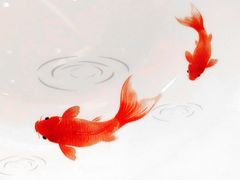 -金成潮菜博物馆(海珠湿地店)