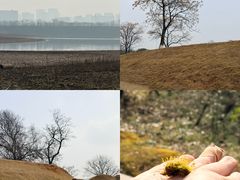 -盘龙城国家考古遗址公园