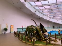 -陕西自然博物馆