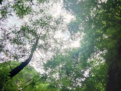 -野三坡百里峡景区