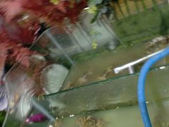 -盛铭轩·巴西烤肉火锅自助(功德林天街GIS店)