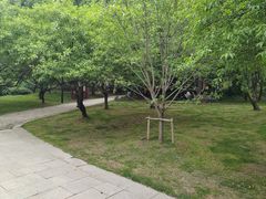 -苏州上方山国家森林公园