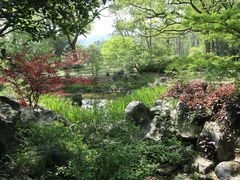 -杭州植物园