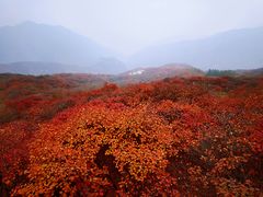 -周口店坡峰岭风景区