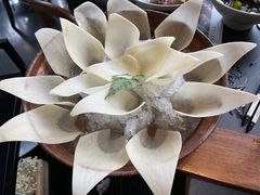 功夫土豆片-大隐·成都火锅Bistro(合生麒麟新天地店)