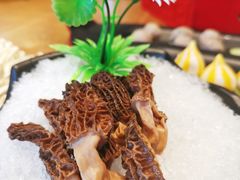 羊肚菌-尚海豆捞(乐虹坊店)