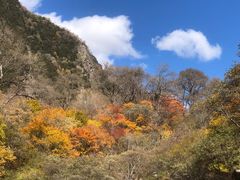 -叠溪松坪沟景区