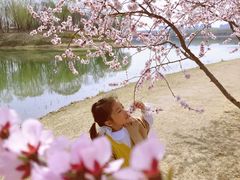 -大兴滨河森林公园