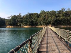 -广州市流溪河国家森林公园