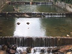 -广州白江湖森林公园