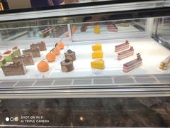 -TD66高山铁皮石斛养生茶饮