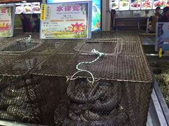 -渔民新村(番禺总店)