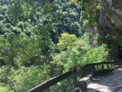 -太鲁阁公园