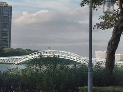 -五缘湾湿地公园