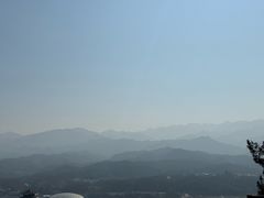 -中原大佛景区