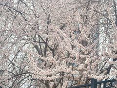 -新世界小天星幼儿园(尚景园)