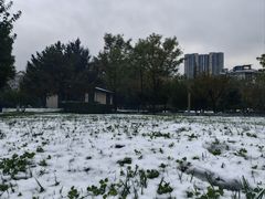 -唐城墙遗址公园