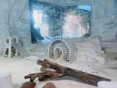 -珠海长隆海洋王国